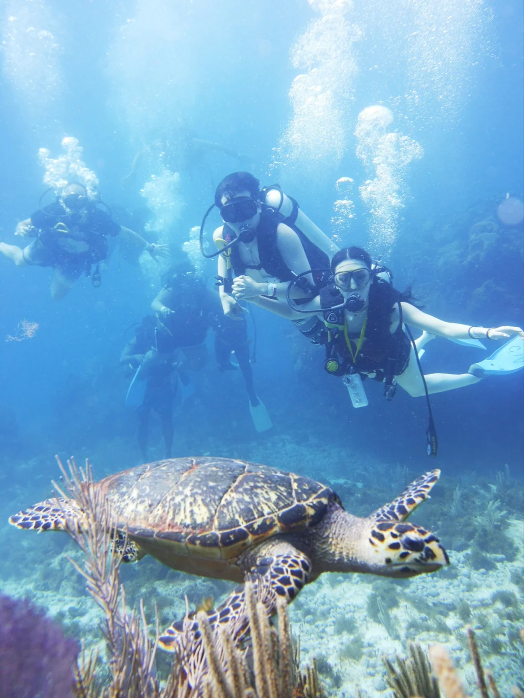 我们的第五个情人节💘如何谈一场长久的恋爱