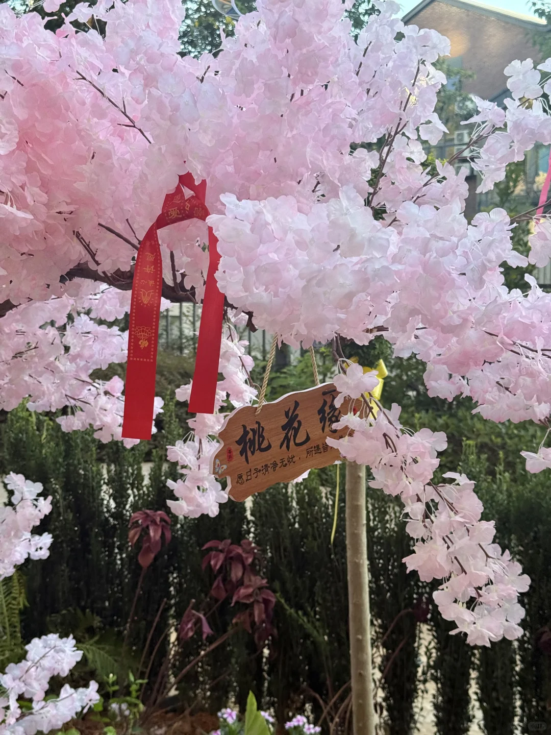 金华00后相亲自救…不管了我先报名了🥹