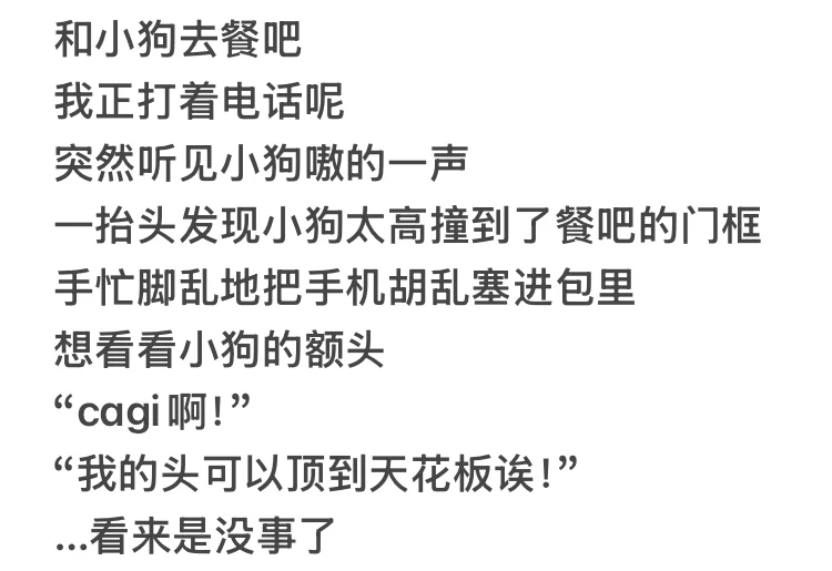 金珉奎梦女｜和金小狗的恋爱两三事