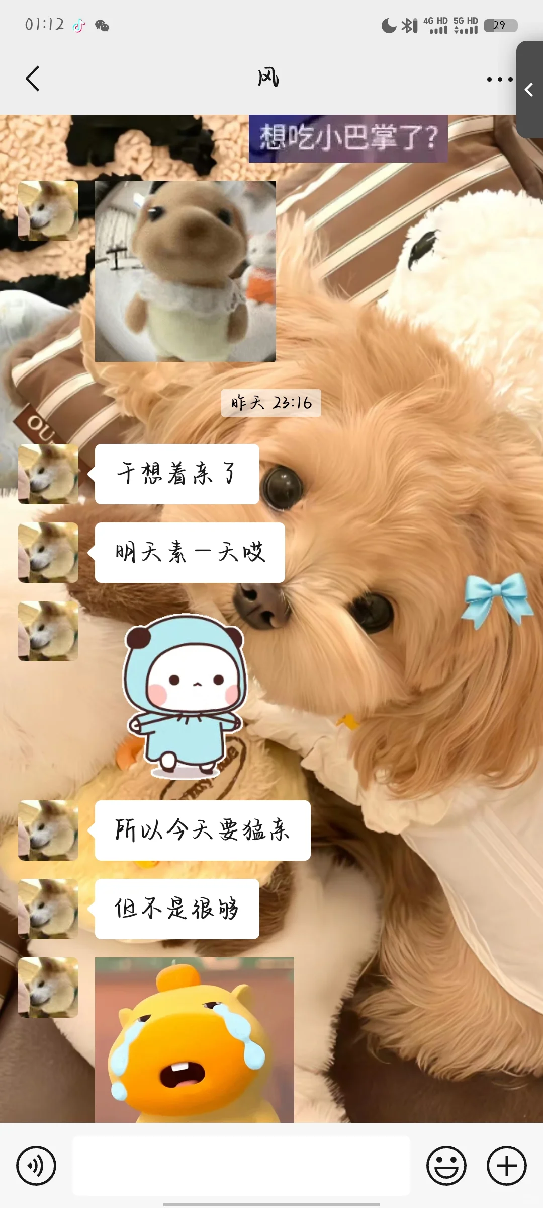 网恋奔现后续3️⃣亲亲细节篇～