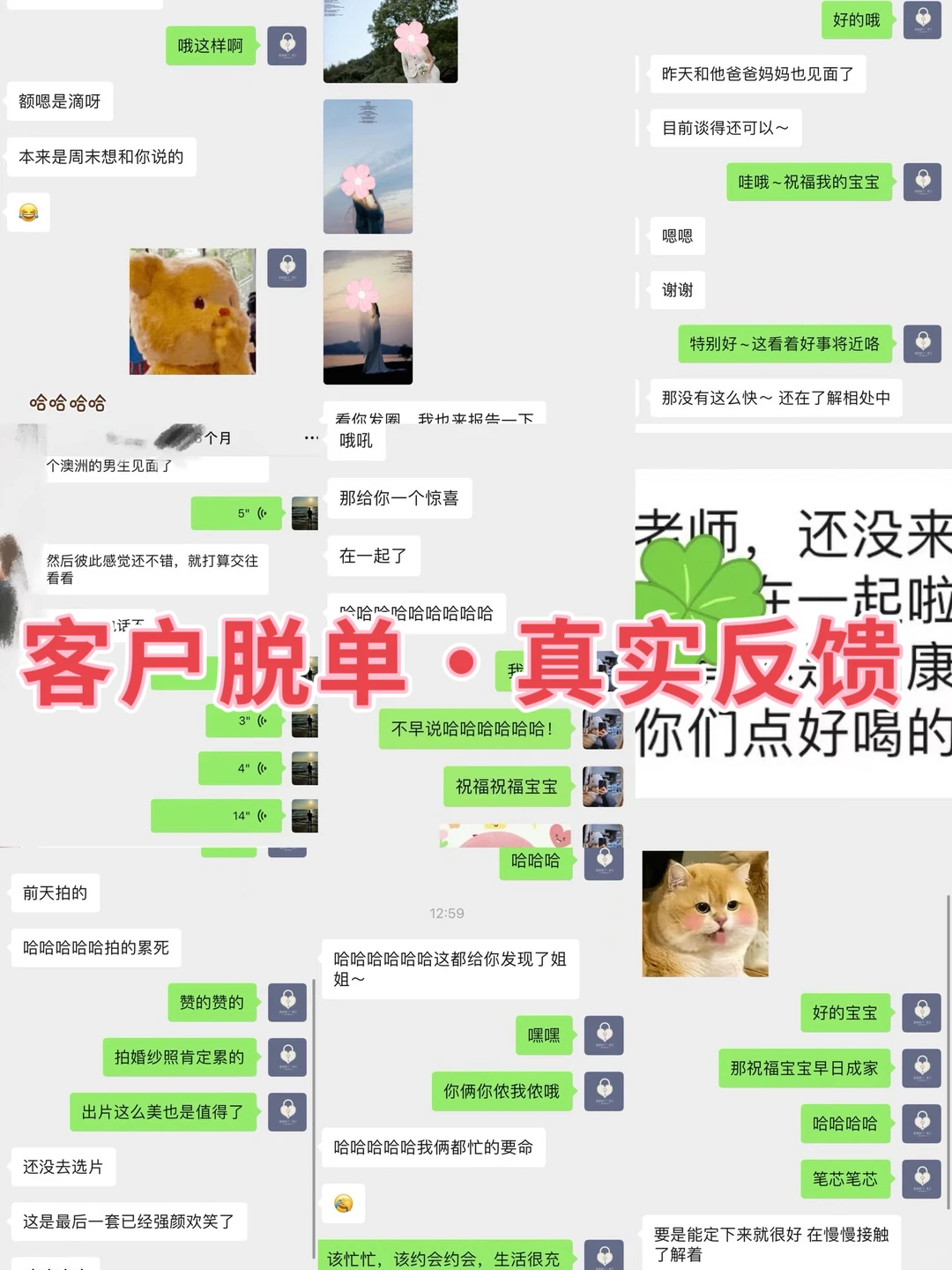 宁波梧桐｜相亲界的口碑王，绝不PUA‼️