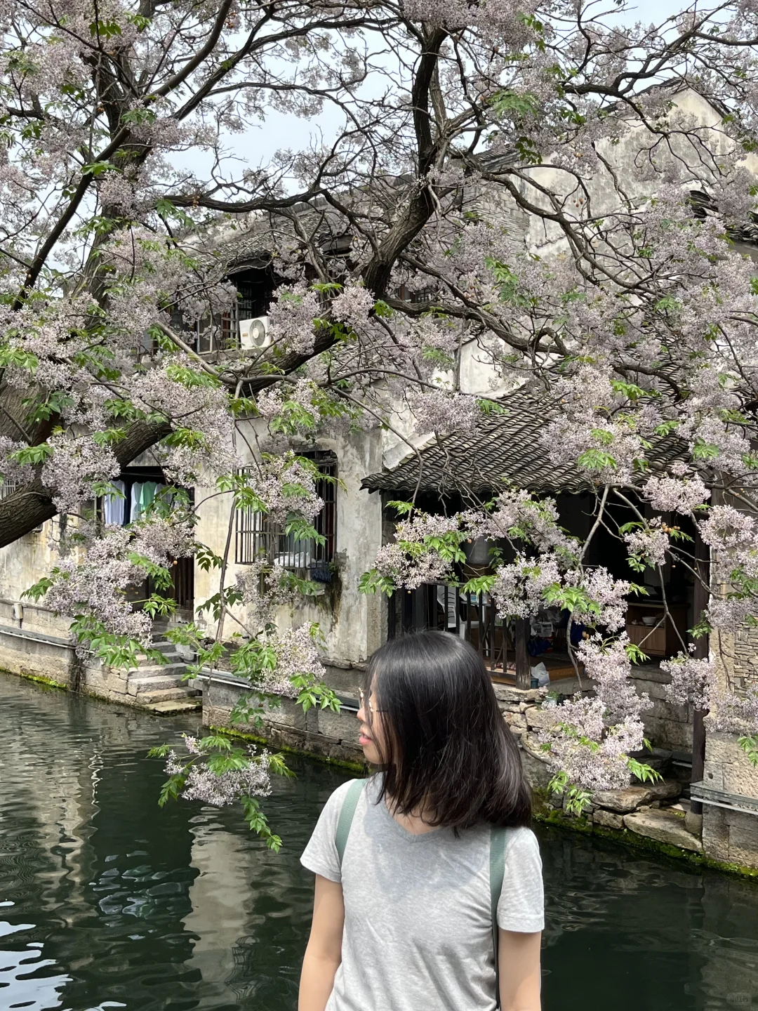 杭州西湖区找男朋友