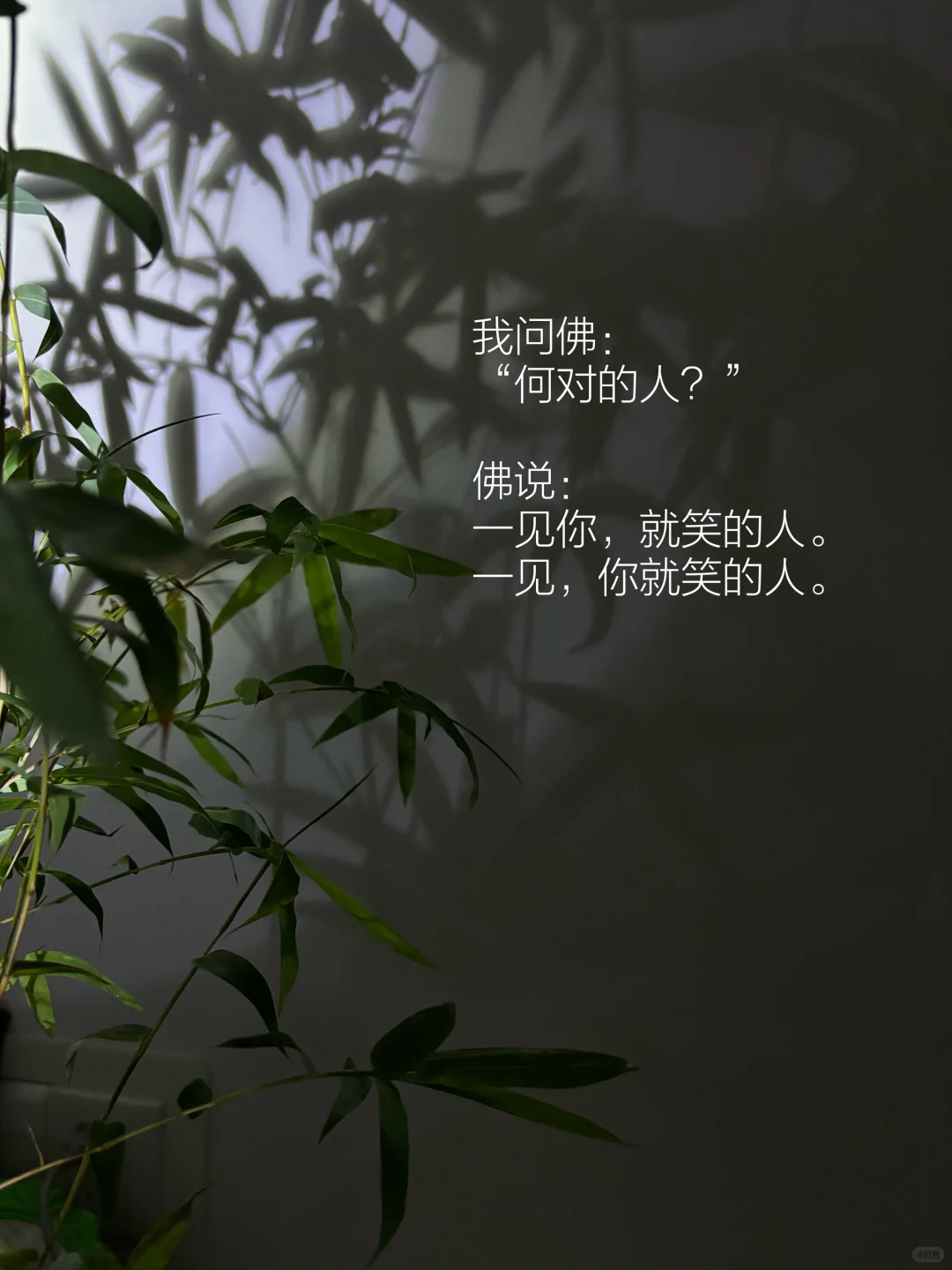 曾国藩嫁女翻车4次，理想伴侣得这样看