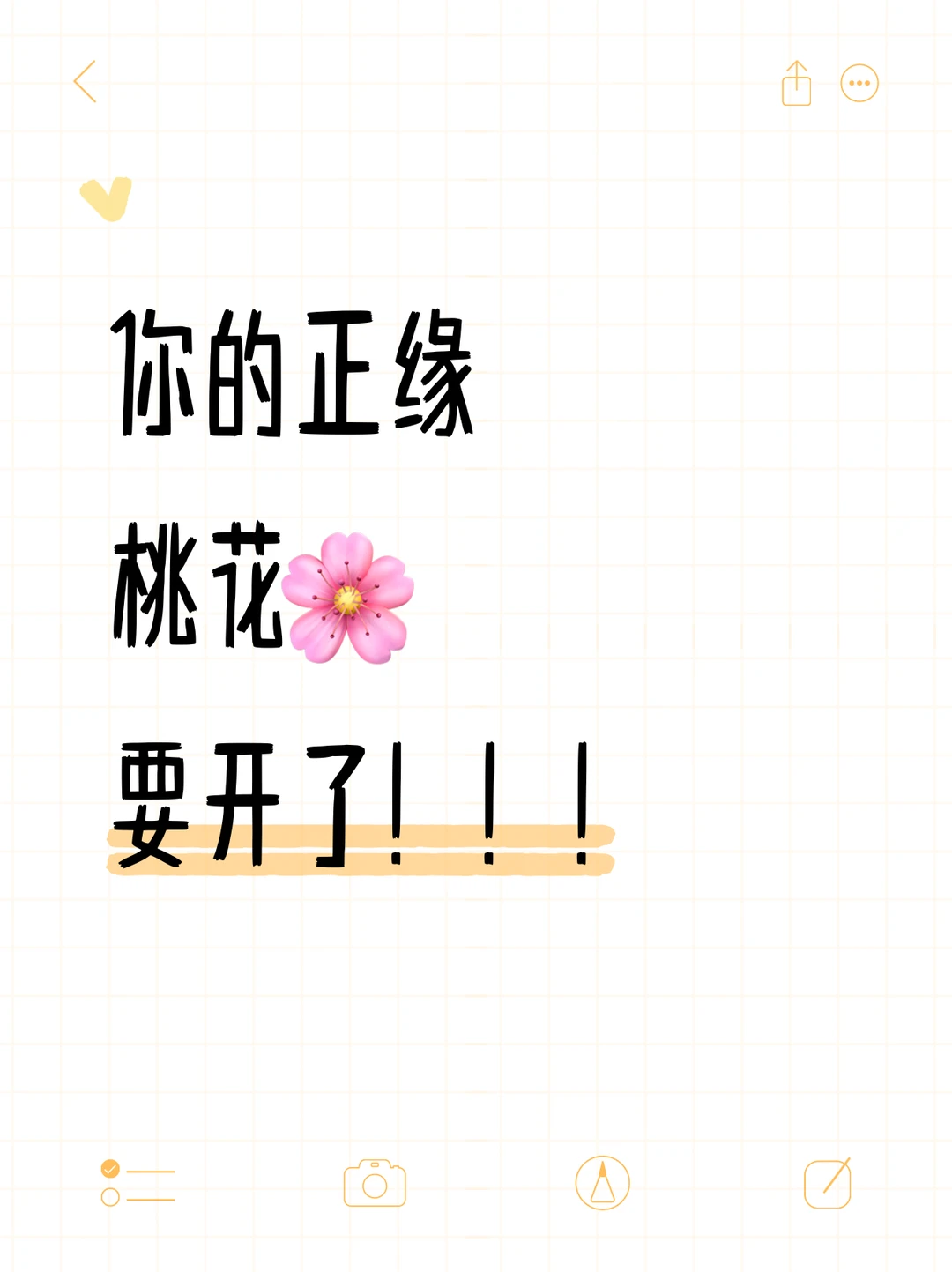 公主～你的正缘桃🌸要开了！