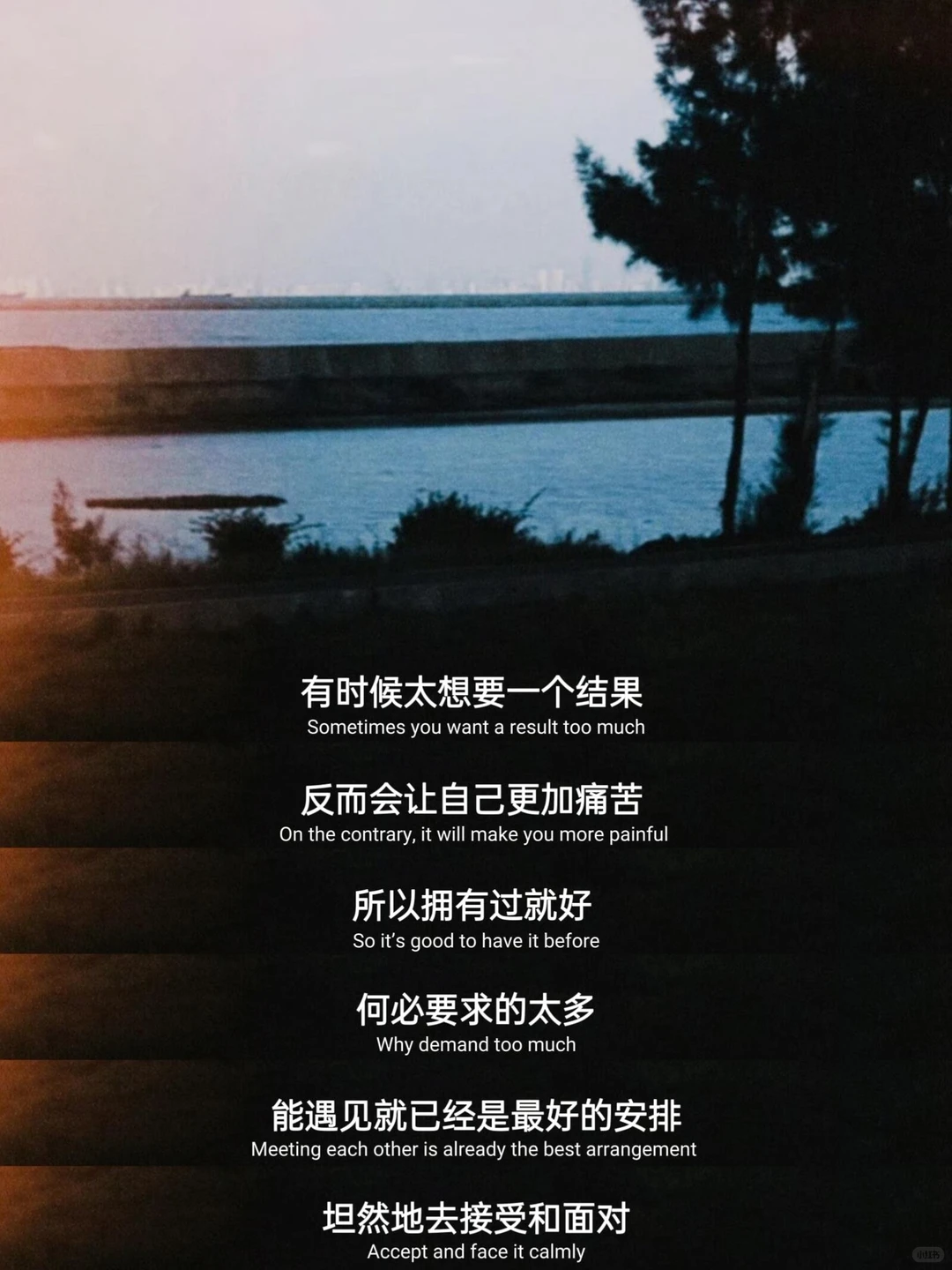 这就是爱情里最好的心态