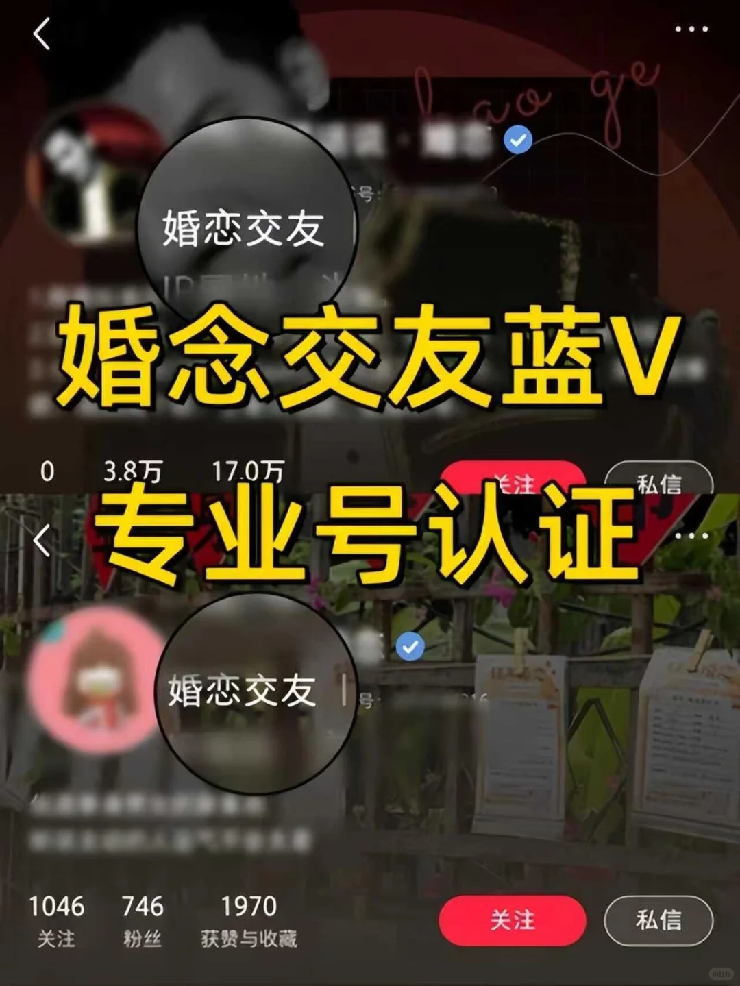 婚恋交友蓝V专业号认证🎊