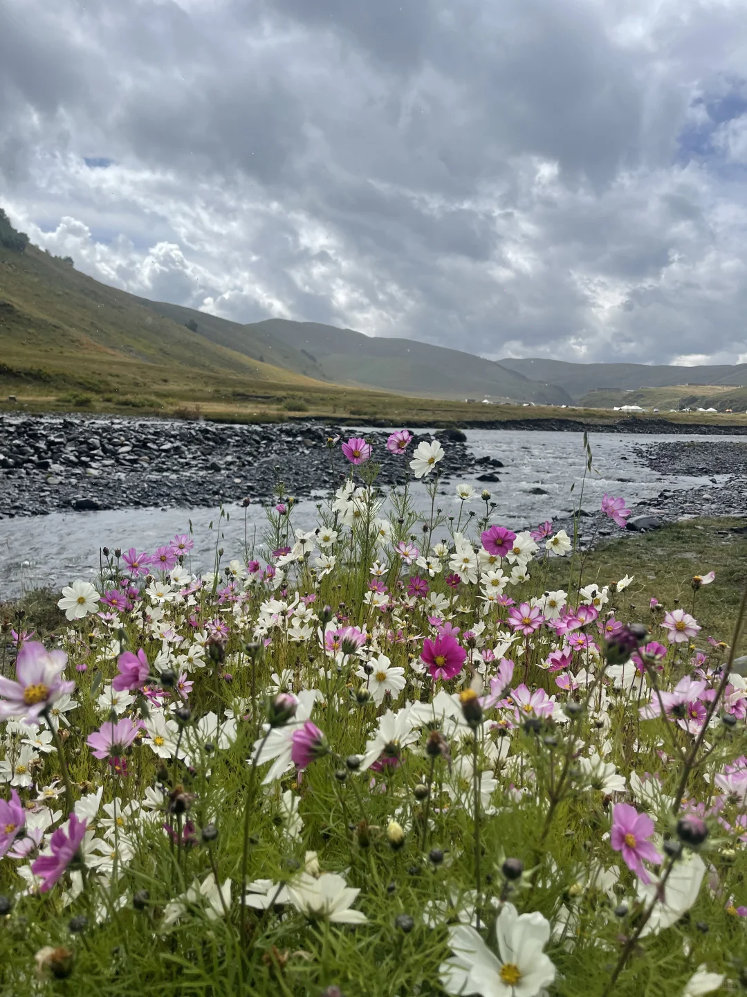 在长沙找个女朋友一起吃喝玩乐