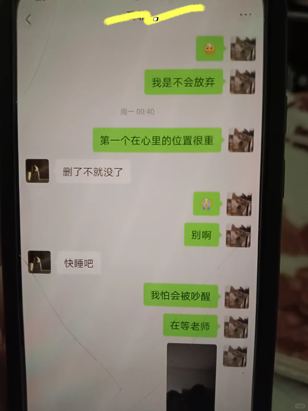 骗你的，其实我从未原谅