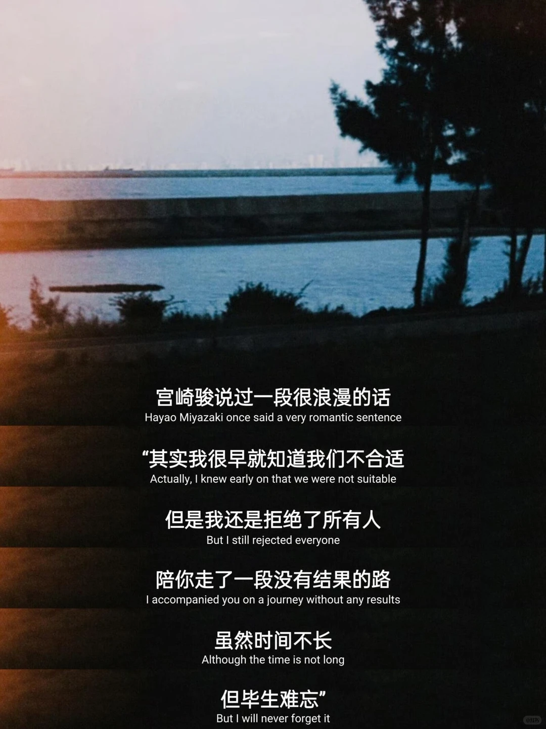 这就是爱情里最好的心态