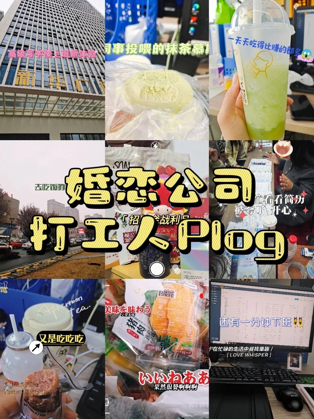 婚恋公司打工人Plog|八卦天堂