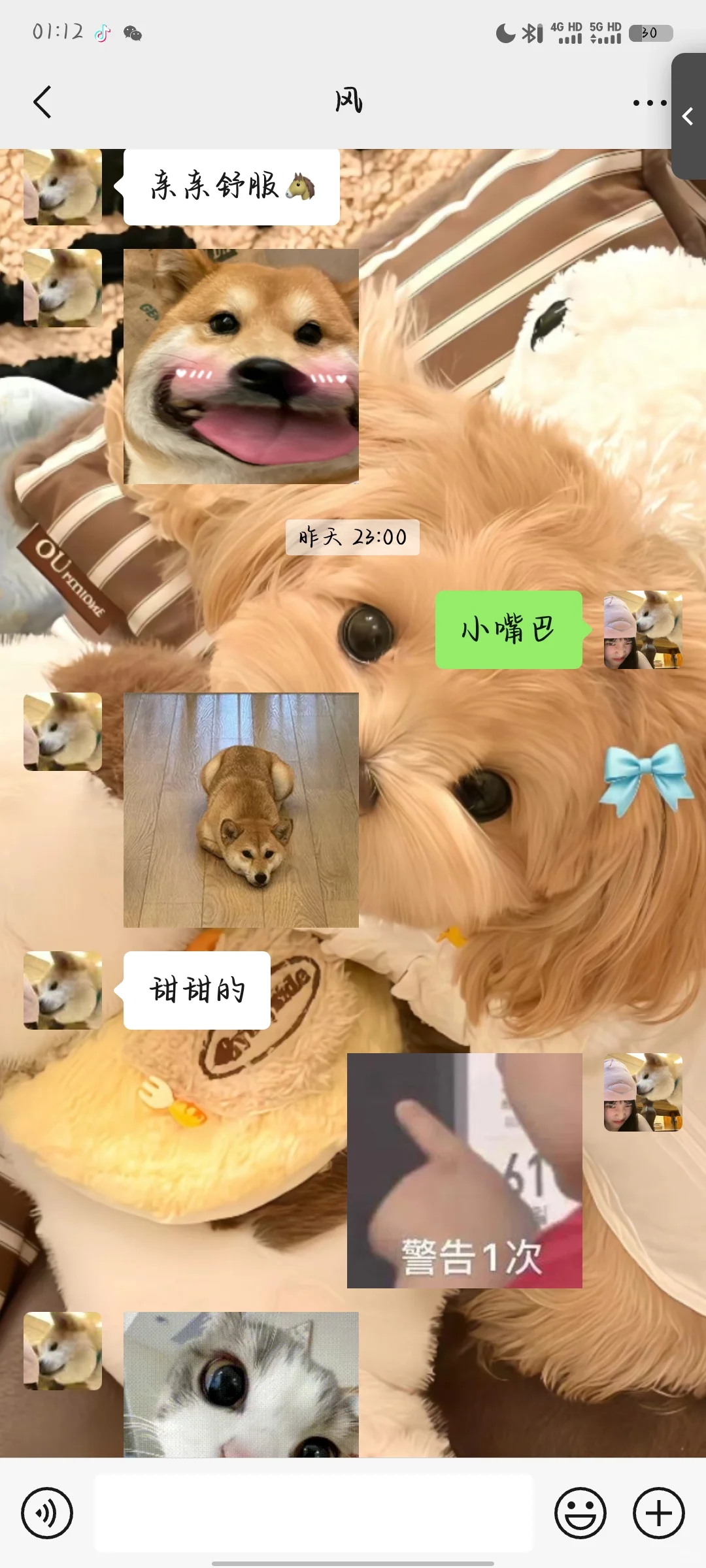 网恋奔现后续3️⃣亲亲细节篇～