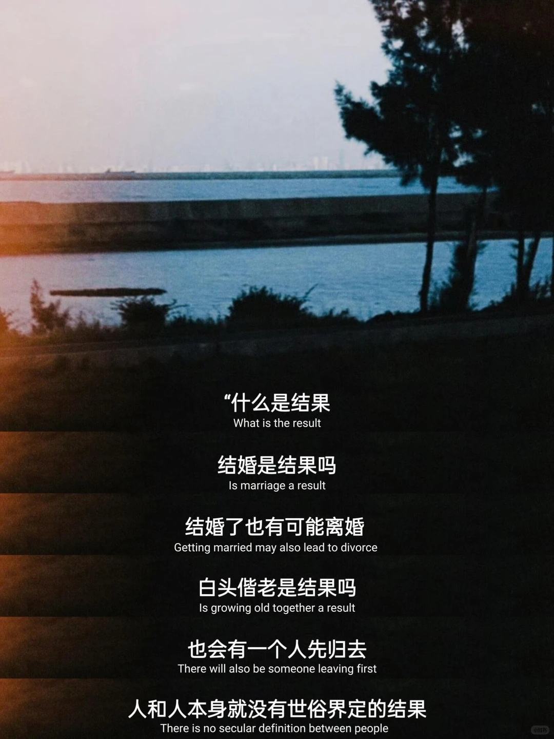 这就是爱情里最好的心态