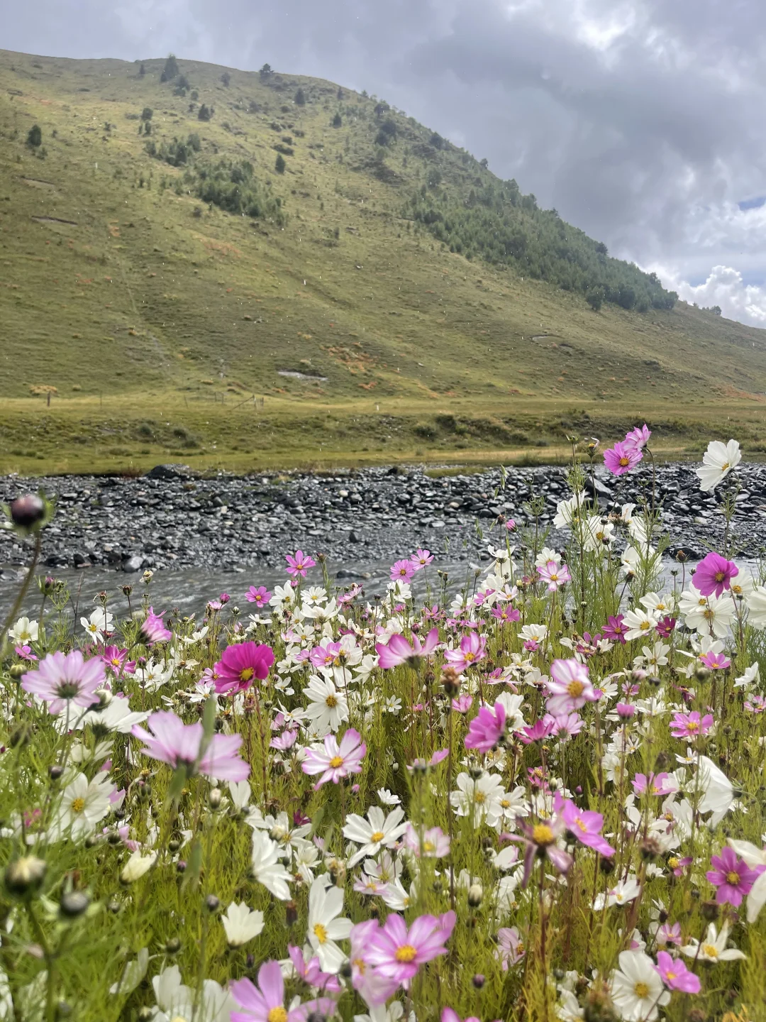 在长沙找个女朋友一起吃喝玩乐