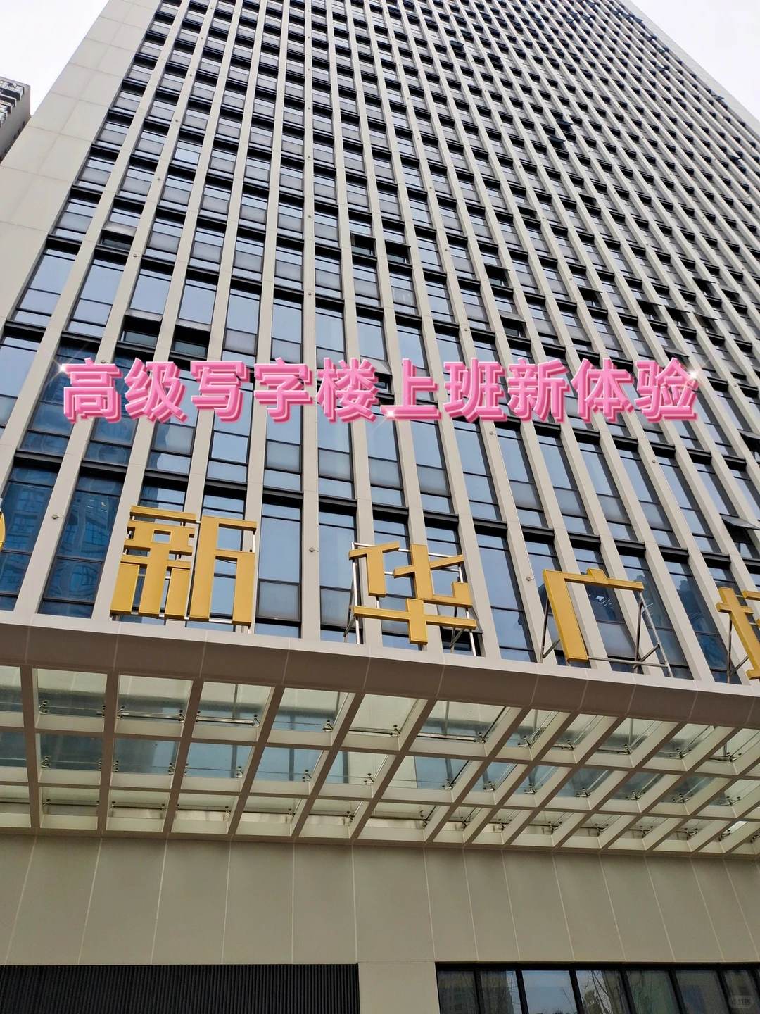 婚恋公司打工人Plog|八卦天堂