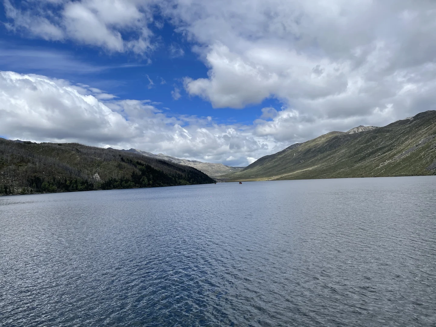 在长沙找个女朋友一起吃喝玩乐