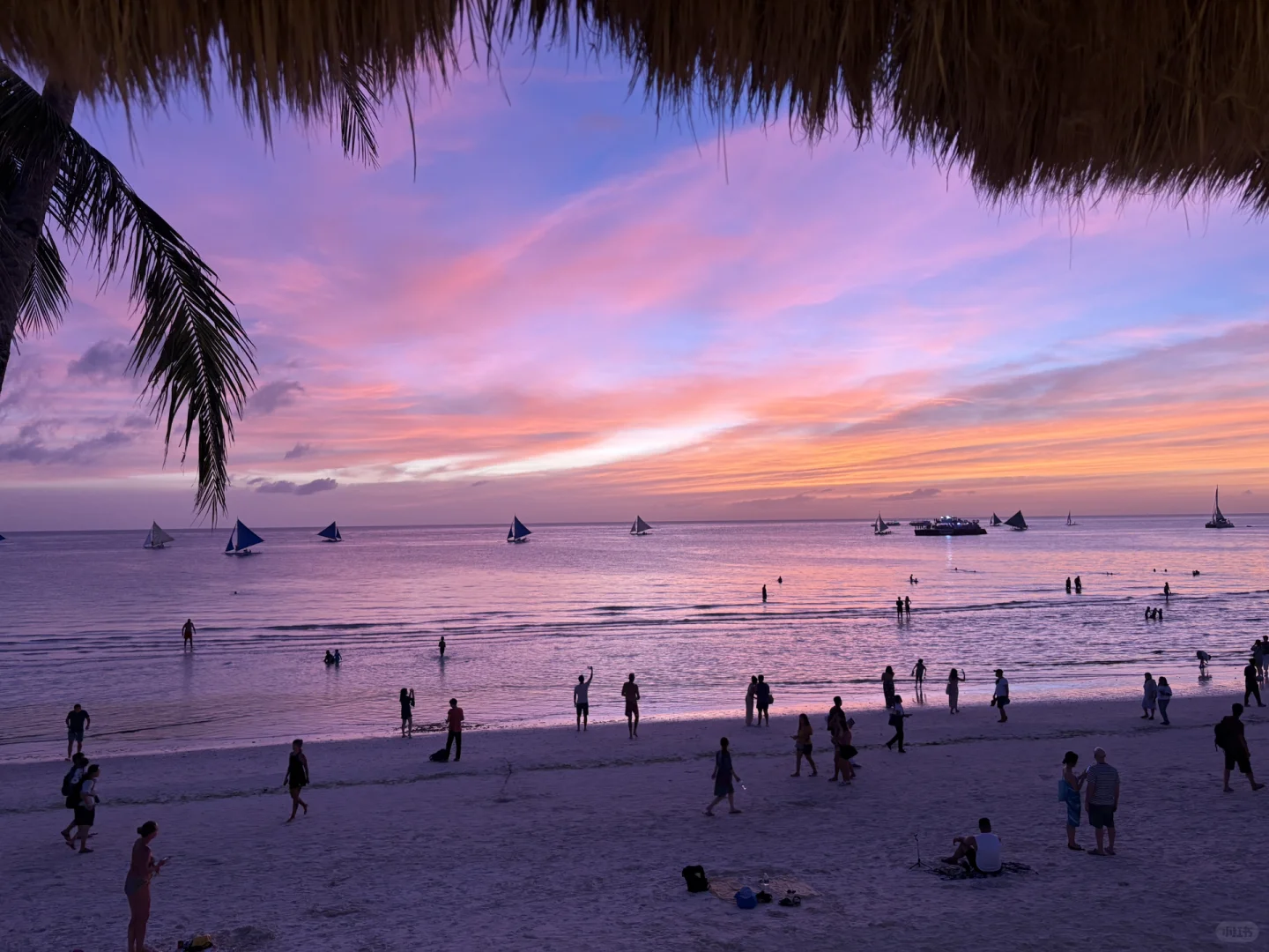 全球招募女朋友，招募全球女朋友(后附照片)