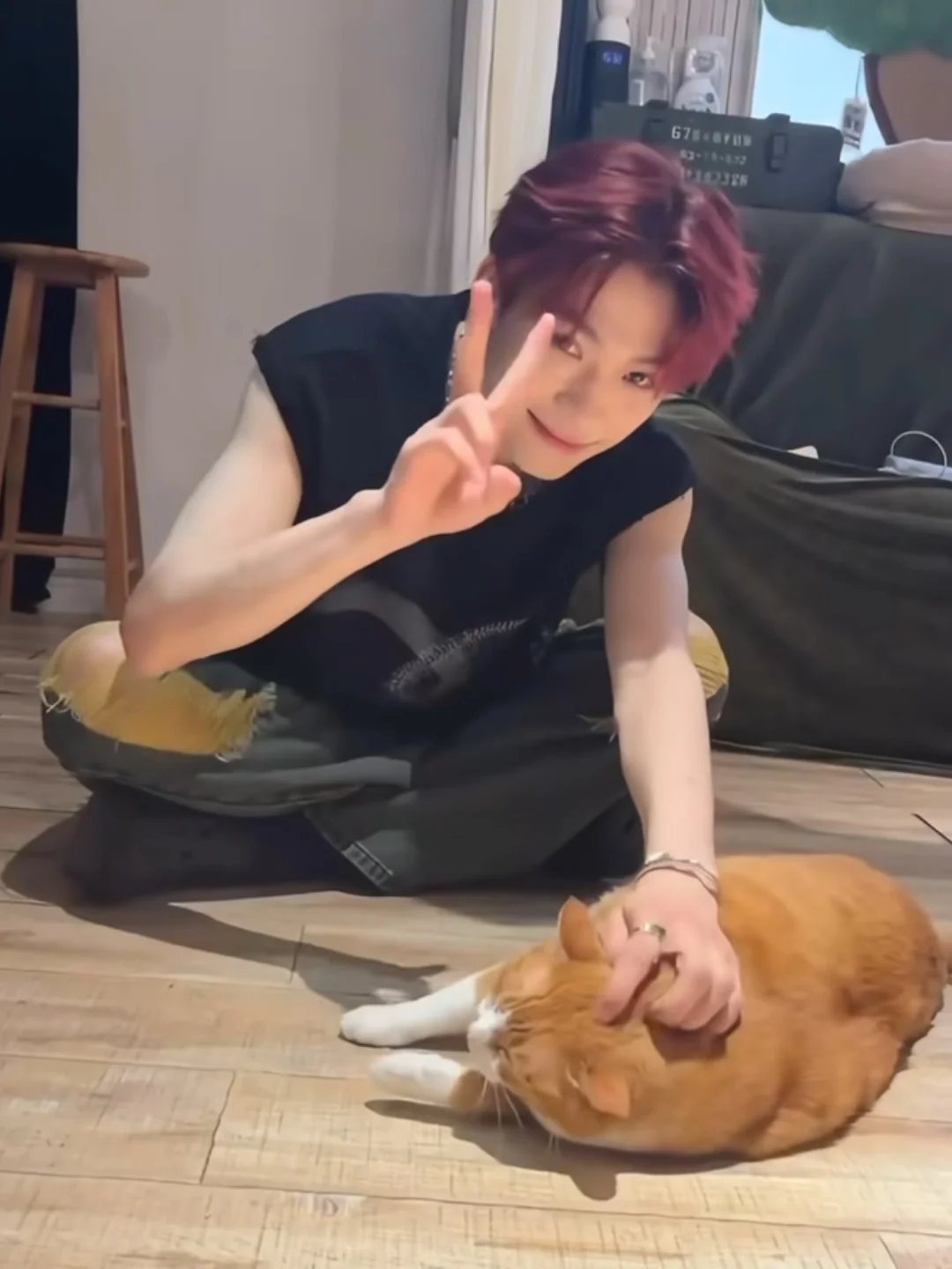 和男朋友一起养的第一只猫