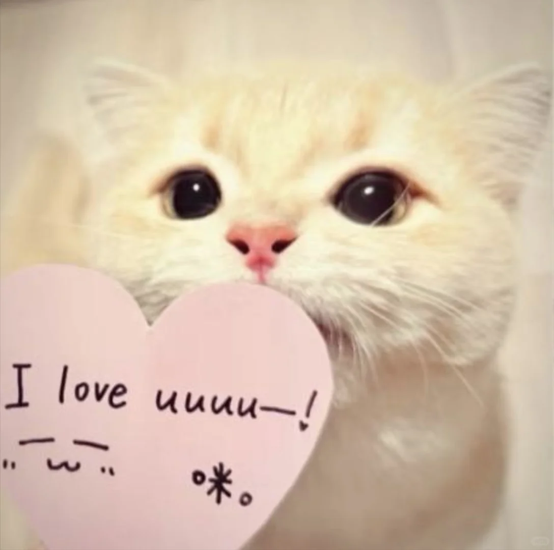 男生说希望自己女朋友好好吃饭都是假的