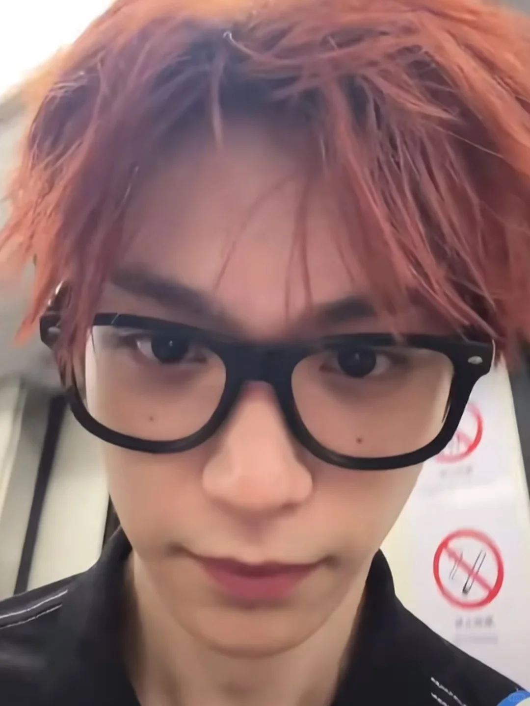 和男朋友一起养的第一只猫