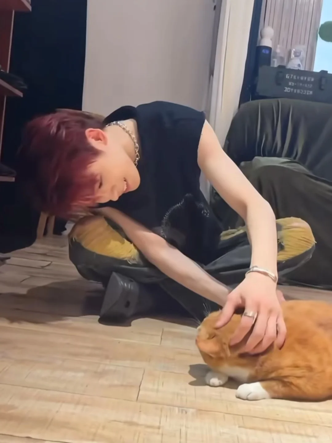 和男朋友一起养的第一只猫