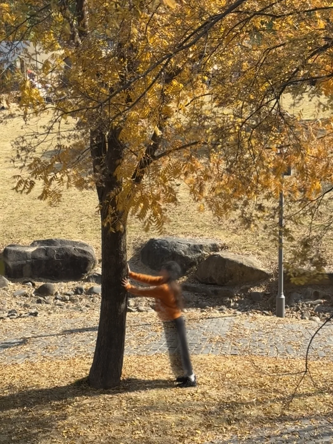 男朋友给我拍的灵魂出窍了