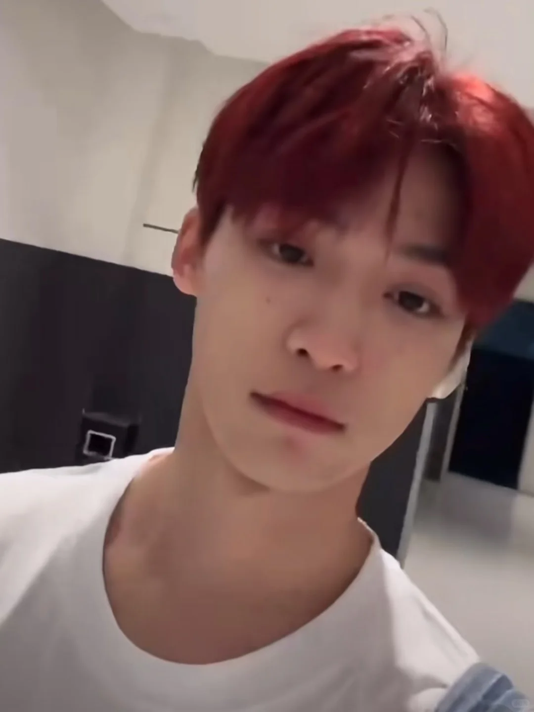 和男朋友一起养的第一只猫