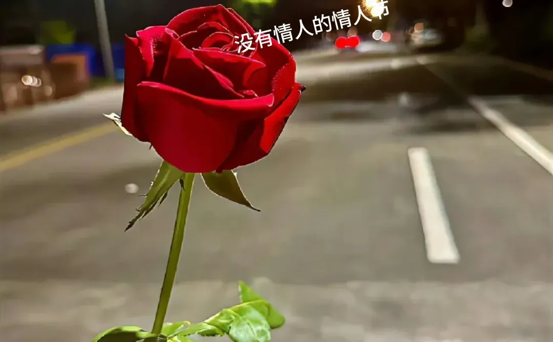 一个人的情人节也很快乐