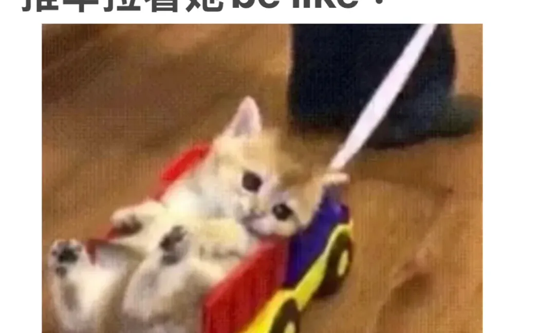 女朋友：这样旅游简直是太舒服了😌～