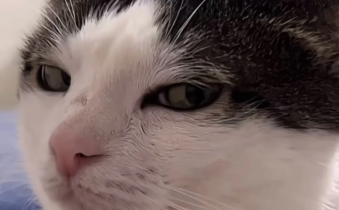 谁家女朋友这样啊🥺