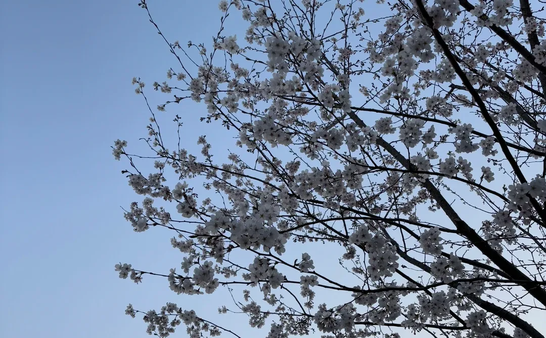 不要把年少的喜欢太当回事