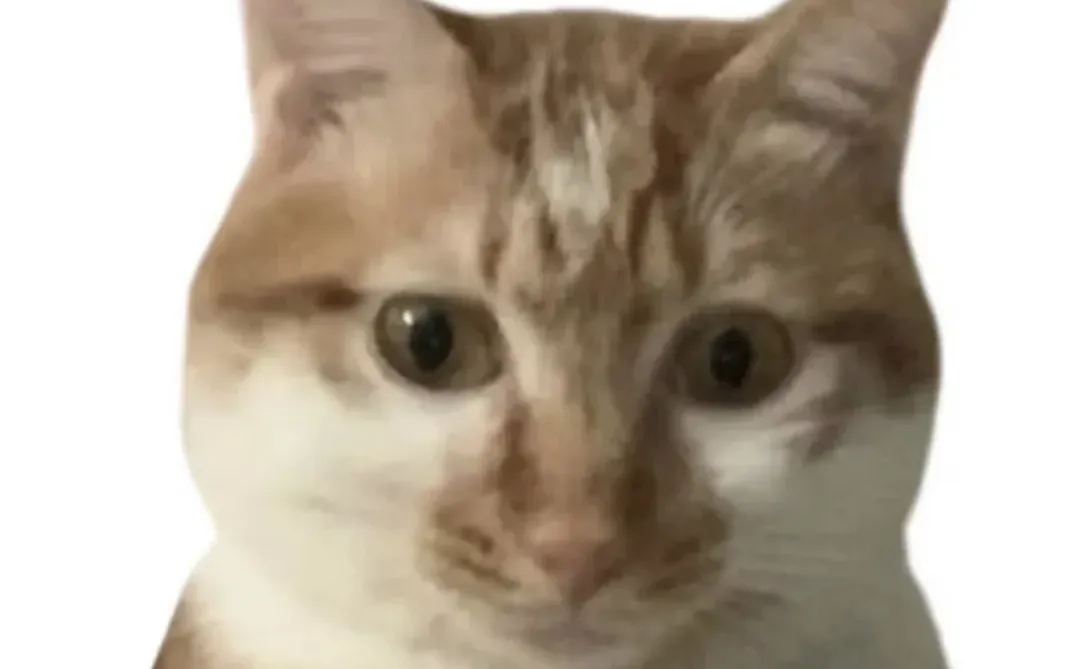 一些小众但很“正”的恋爱观Tips