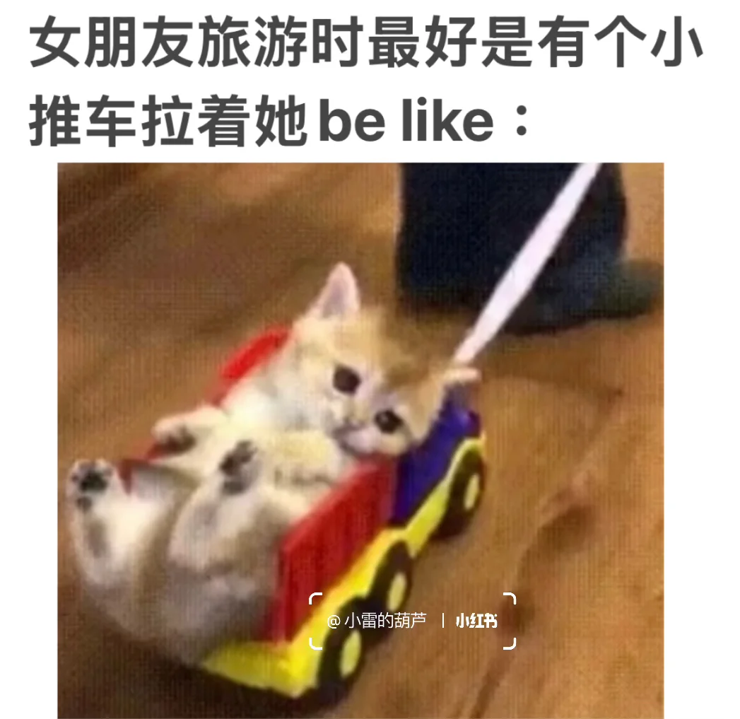 女朋友：这样旅游简直是太舒服了😌～