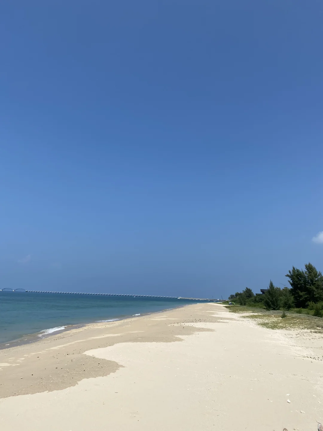 想找个女朋友带她去很多很多地方。