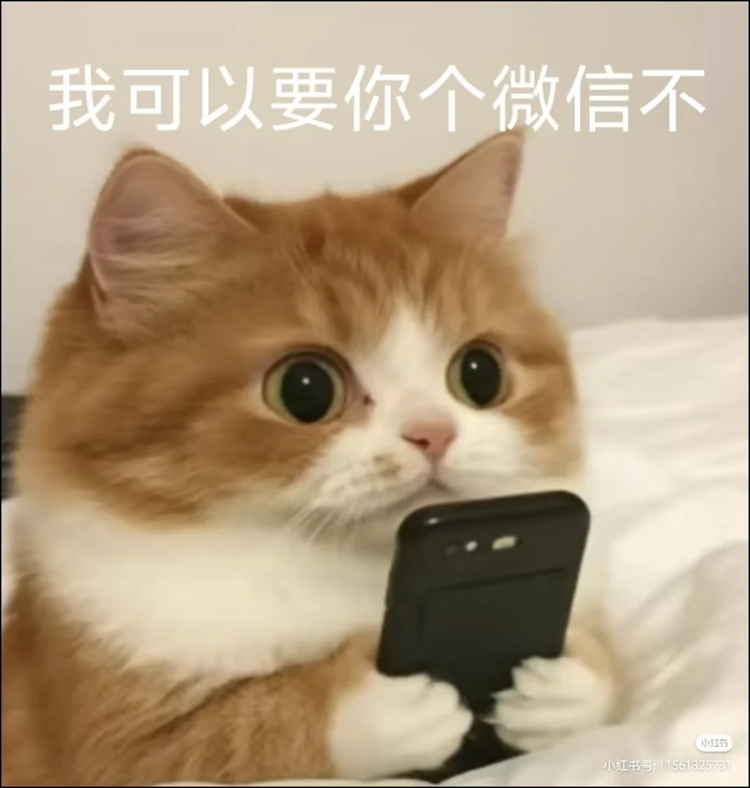 暧昧 纯网恋 聊天搭子！