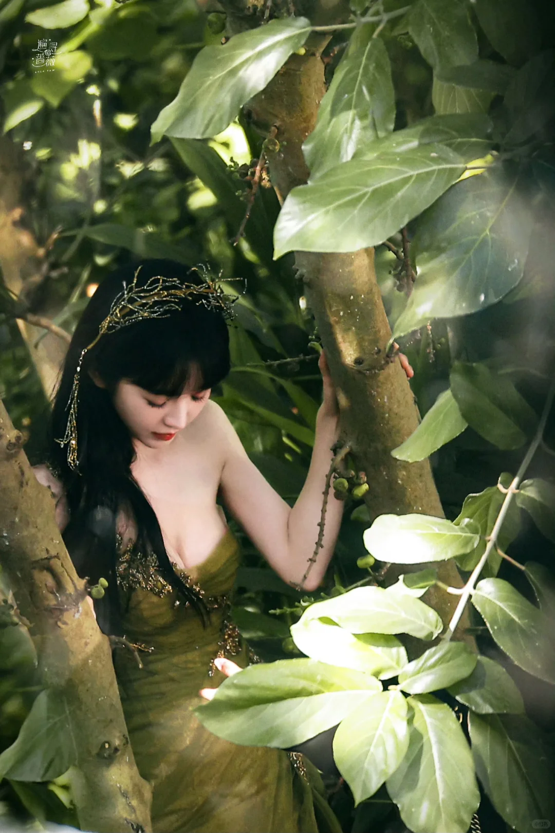 田曦薇-立春初见山茶吻