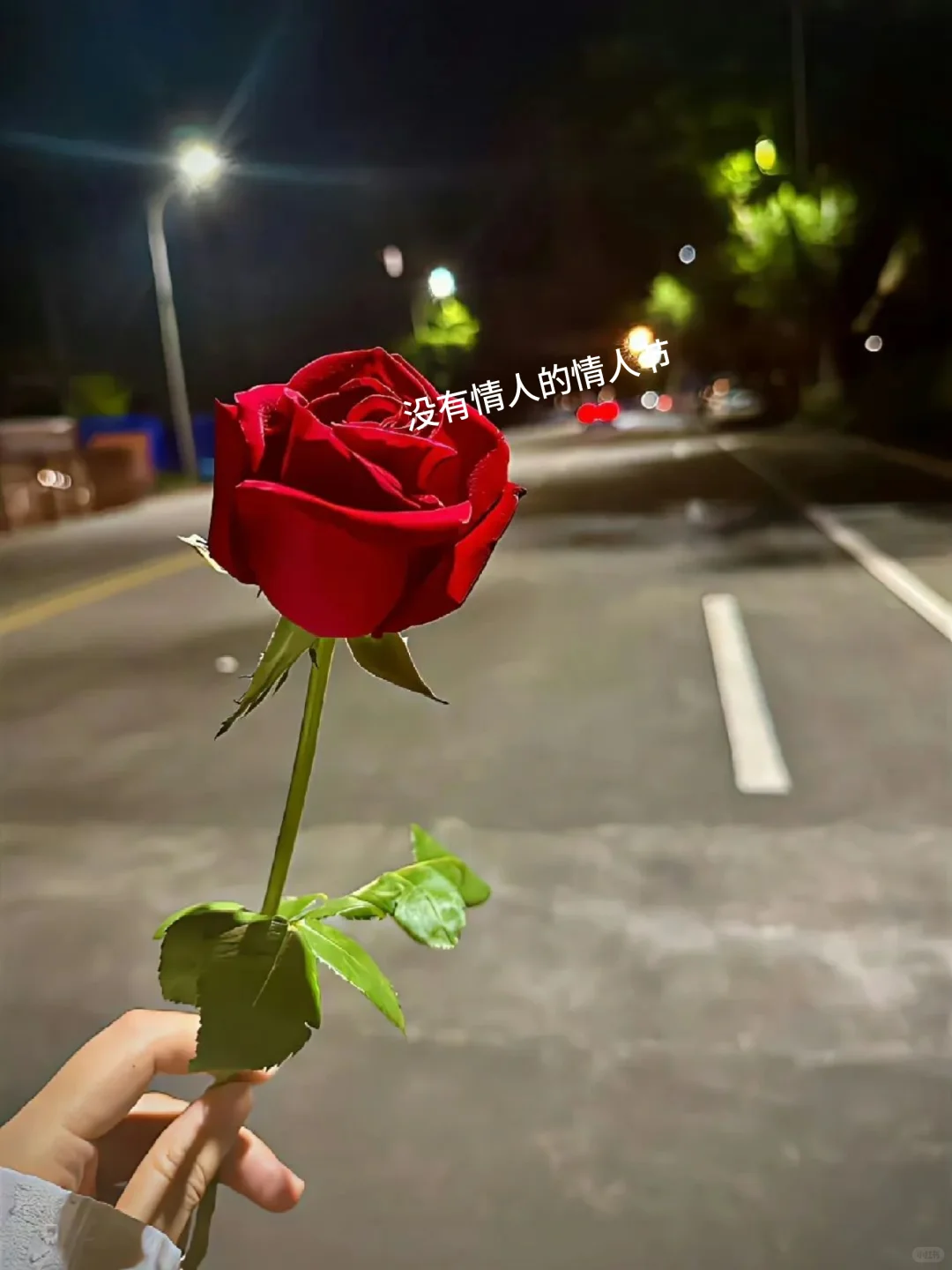 一个人的情人节也很快乐