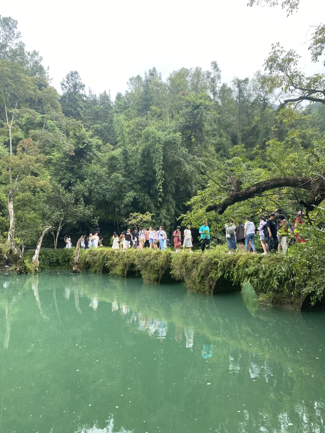 想找个女朋友带她去很多很多地方。