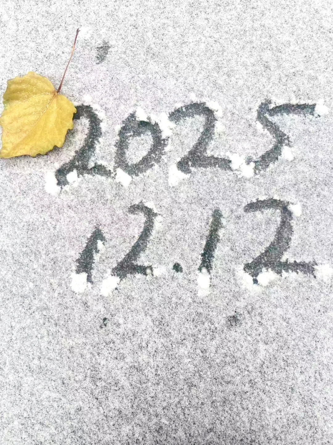 我拍到的初雪，好像跟记忆中的一样