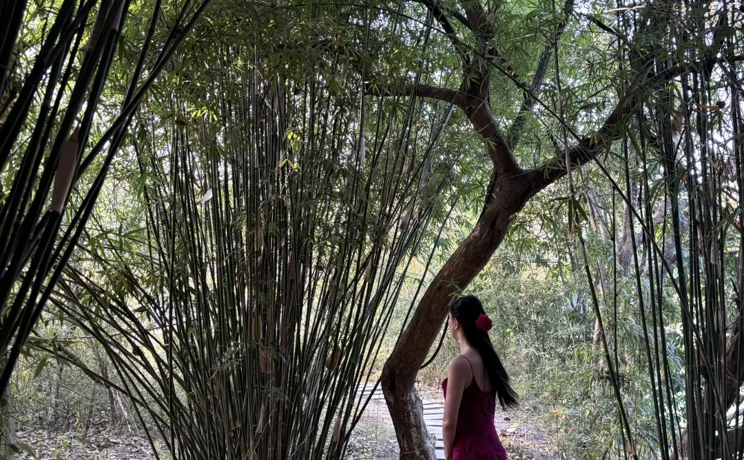 想找个养我的男朋友