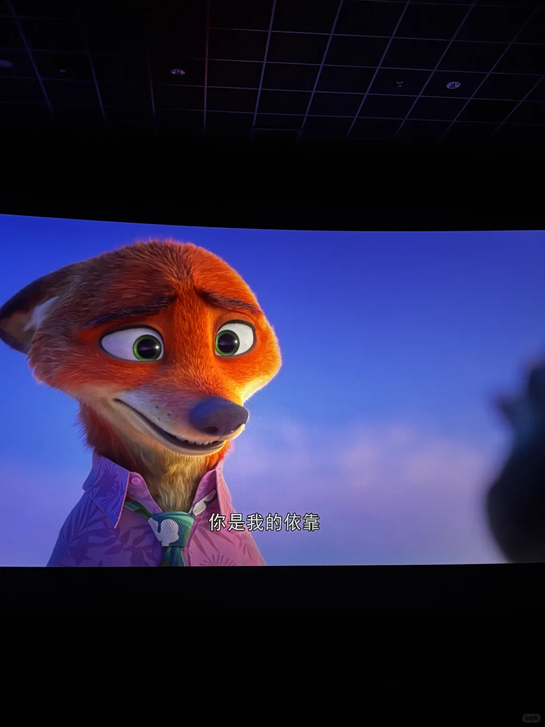 我们是相互的依靠