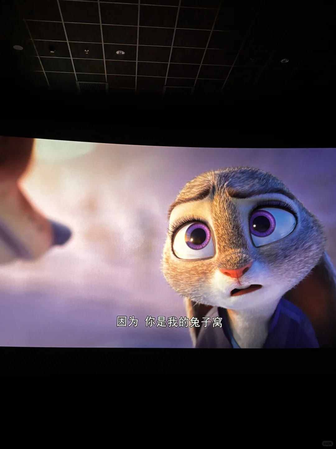 我们是相互的依靠