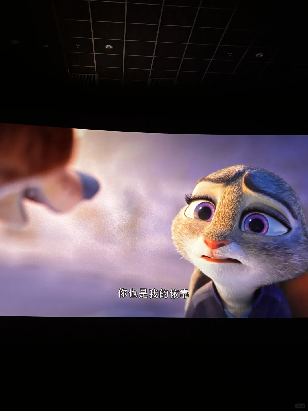 我们是相互的依靠