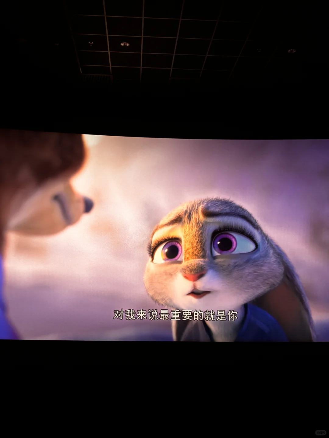 我们是相互的依靠