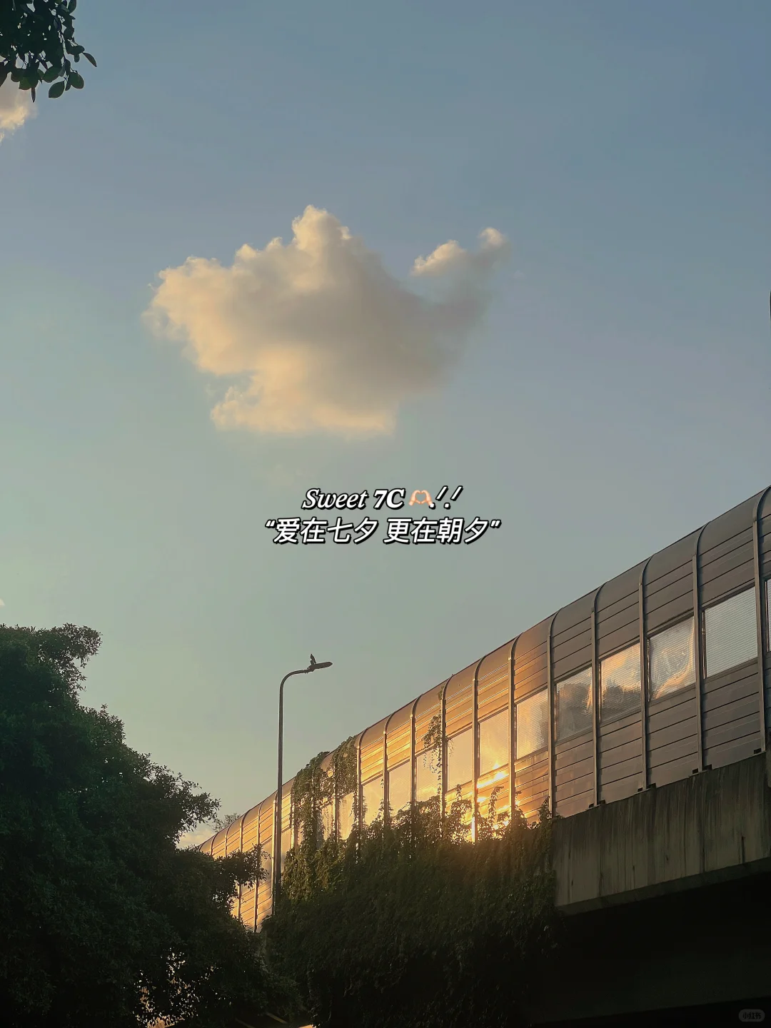 “永远有人更好 眼下便是最好🫶🏻”|七夕文案