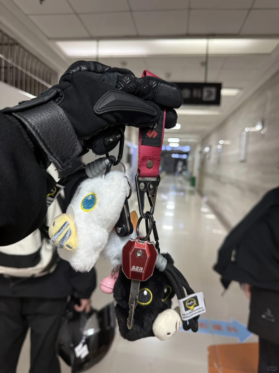 论两个都骑机车的人谈恋爱会怎样