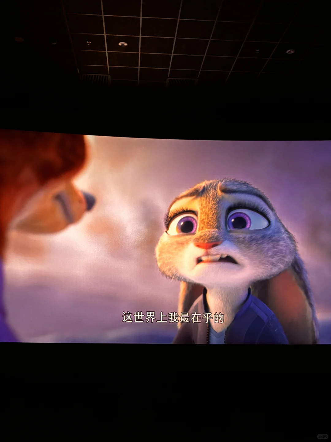 我们是相互的依靠