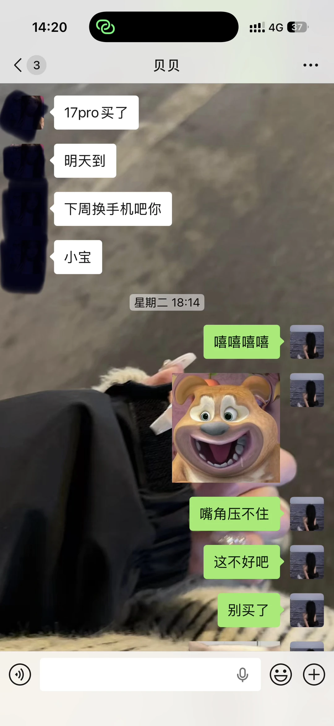 关于我男朋友问我给我买17，我会听话多久