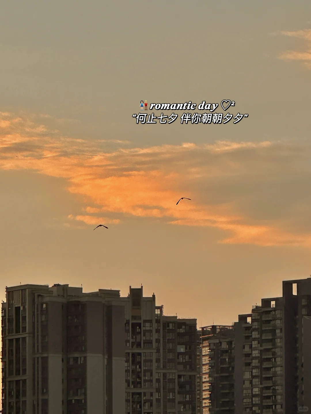 “永远有人更好 眼下便是最好🫶🏻”|七夕文案