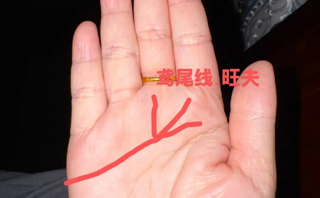 手掌里的旺夫线和婚恋线