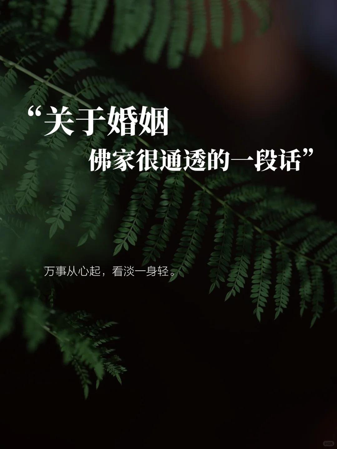 关于婚姻，佛家很通透的一段话